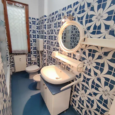 Oasi